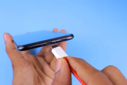 Kasino Dogs Fortune Mobilní aplikace